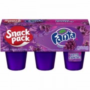 Fanta Snack Pack raisin 552 Gr