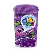 Lotte Fusen Myrtille bubble Gum 15 Gr