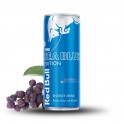 Red Bull Sea Blue Edition 250 ml